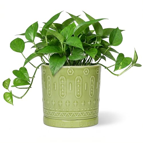 Eightpot Ceramic Flower Pots, 6 Inch Planter for Indoor Plants Outdoor, Round Pots for Plants with Drainage Hole and Tray, Modern Decorative Plant Pot, Bathroom Decor, Green - color: Green - 2, size: 6 Inch