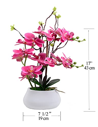 W&W Artificial Orchid Plants and Flowers with Vase, Fake Faux Orchid in Ceramic Pot,17”, Fuchsia - color: Fuchsia 02