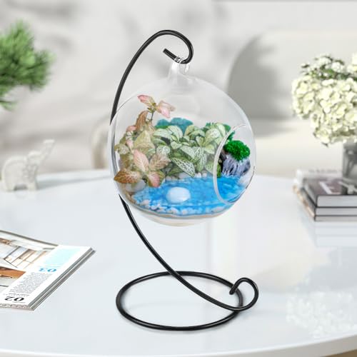 Air Plant Terrarium Kit with Stand, Hanging Glass VaseTerrarium Globe with Metal Ornament Display Stand Tabletop Glass Terrarium for Air Plants Succulent Planters Small Plants