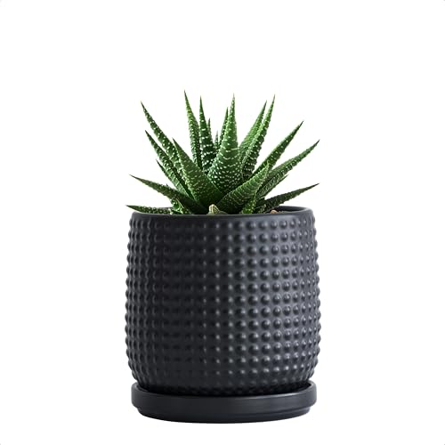 D'vine Dev Beaded Ceramic Pot with Saucer, 4 in, Ebony Matte, 27-C-Z-6 | Embossed Dot Texture, Smooth Glazed Finish, Timeless Vintage Charm, Drainage Holes, Stylish Accent for Modern Home Décor - color: Ebony Matte, size: 4.3 Inch