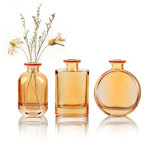 Joeyan Amber Glass Bud Vase Set of 3 - Decorative Rustic Flower Vase - Small Bottle Vase Centerpieces for Wedding, Home, Office, Table Décor - color: Amber Glass Bud Vase Set of 3