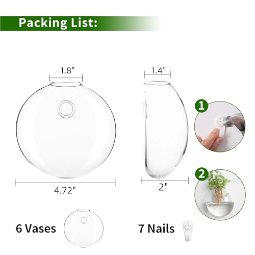 Wall Propagation Planters 6 Pack Wall Glass Planters Wall Plant Holder | Glass Wall Vase, Indoor Hydroponic Decor, Plant Propagation Wall Hanging