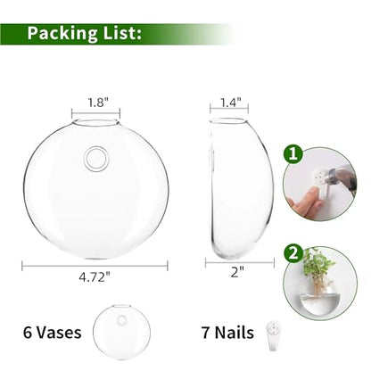 Wall Propagation Planters 6 Pack Wall Glass Planters Wall Plant Holder | Glass Wall Vase, Indoor Hydroponic Decor, Plant Propagation Wall Hanging
