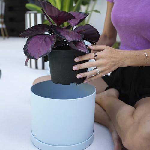 Bloem Mathers Planter w/Saucer Tray 8" Misty Blue - color: Misty Blue, size: 8"
