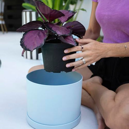 Bloem Mathers Planter w/Saucer Tray 8" Misty Blue - color: Misty Blue, size: 8"