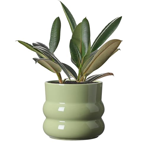 Ceramic Plant Pot,6 Inch Planters for Indoor Plants,Ceramic Planter Flower Pots with Drainage Hole,Home Office Garden Décor,(Green,Inner-pots not Larger Than 5 Inch) - color: Green