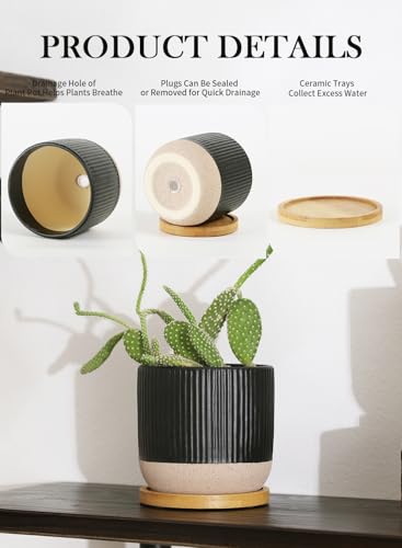 4" Black Ceramic Plant Pots with Drainage Holes & Trays Set of 4 | Vertical Stripes Succulent Pot with Saucer, Small Flower Planter Sets for Indoor Plants, Cactus & Herbs - color: Vertical Stripes - Black