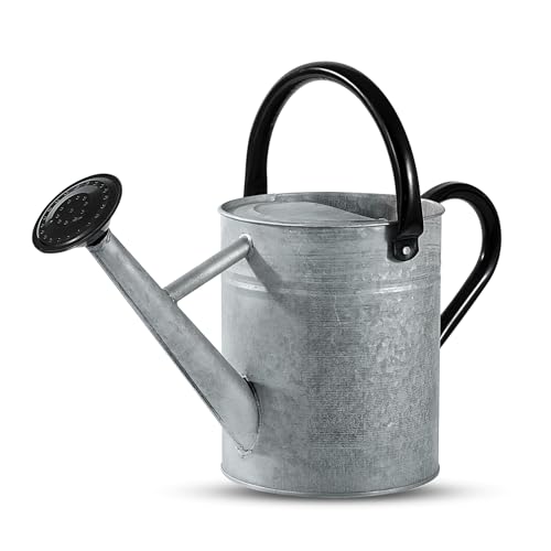 1 Gallon Watering Can for Plants, Watering Cans for Indoor&Outdoor Gardening, Galvanized Steel Watering Pot with Removable Spout, Metal Water Can with Ergonomic Movable Handle(Rustic Silver) - color: Rustic Silver