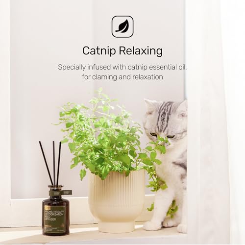Reed Diffuser for Pet Odor Elimination, Lavender Cedar, Non-Toxic & Pet-Friendly Air Freshening, 6 Oz