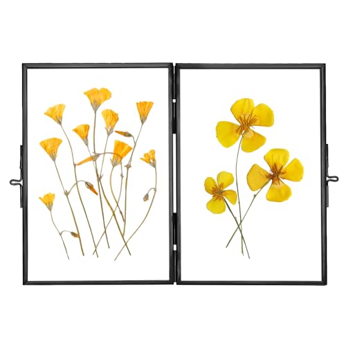REDHUGO Glass Pressed Flower Frame Handmade, Rectangle, Black, 4×6 Inches | Hinged Double Press Flower Frame, Tabletop Brass Photo Frames, Rectangle Dried Flowers Display Folding Frames for Home - color: Black, size: 4L" x 6W"