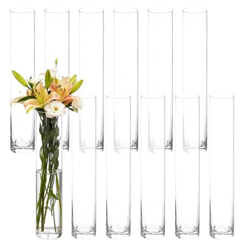Glass Cylinder Bud Vases Skinny Single Flower Vase 12 Pcs | Tall Clear Glassware Container, Christmas Birthday Housewarming Holiday Decoration, Table Centerpiece Display