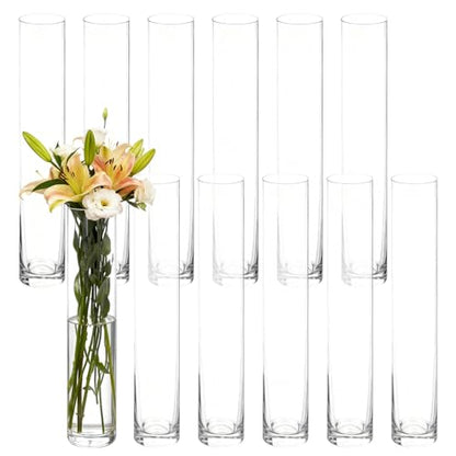 Glass Cylinder Bud Vases Skinny Single Flower Vase 12 Pcs | Tall Clear Glassware Container, Christmas Birthday Housewarming Holiday Decoration, Table Centerpiece Display