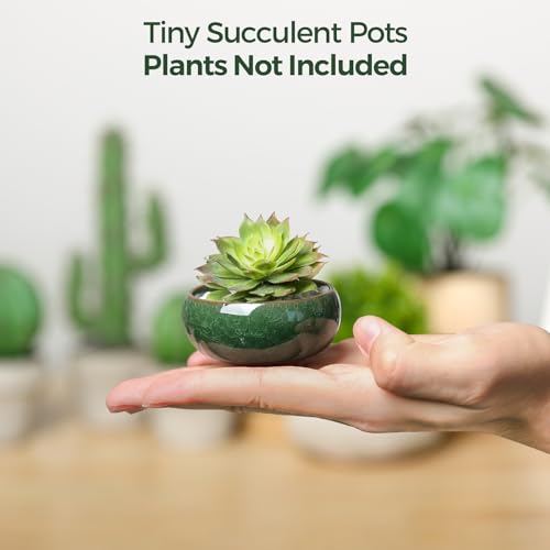 T4U 2.5 Inch Small Ceramic Succulent Planter Pot with Drainage Hole Set of 6, Ice Crack Glaze Plant Container for Cactus, Gardening Plant Gifts for Women Mom Aunt Home Office Decor | Cactus planters set, indoor herb garden, bonsai tree starter, tabletop c