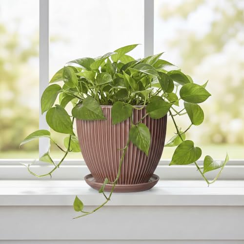 Ceramic Pots for Plants 6 Inch, Ceramic Plant Pots Indoor with Drainage Hole and Saucer, Modern Flower Pot, Round Decorative Planter, Living Room Home Decor, House Warming Gifts, Rust Red - size: 6 Inch, style: Rust Red