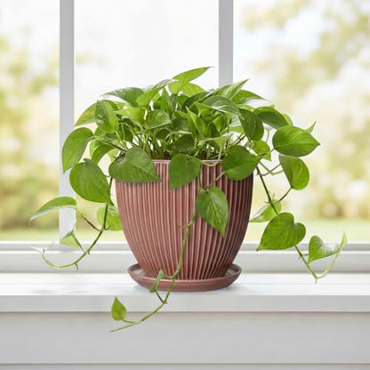 Ceramic Pots for Plants 6 Inch, Ceramic Plant Pots Indoor with Drainage Hole and Saucer, Modern Flower Pot, Round Decorative Planter, Living Room Home Decor, House Warming Gifts, Rust Red - size: 6 Inch, style: Rust Red