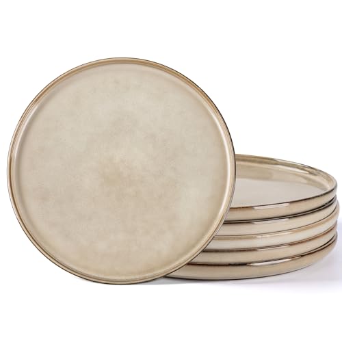 AmorArc Stoneware Dinner Plates Set of 6, 10.5 Inch Ceramic Plates Set | Reactive Glaze Dishes for Kitchen, Highly Scratch Resistant | Dishwasher & Microwave Safe Dishware - color: Cappuccino, size: 10.5 inch