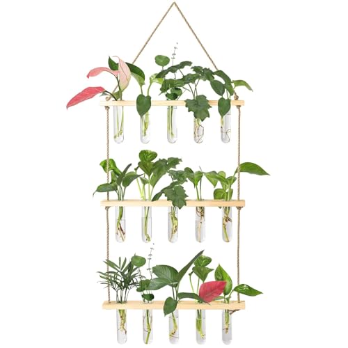 XXXFLOWER Wall Hanging Propagation Station with Wooden Stand 15 Tubes | 5 Glass Test Tubes 3 Tiers Plant Hanger Indoor for Home Office Plant Hanger Flower Vases Wall Decor Hydroponic Cuttings - color: Beige, size: 15 Tube Vases