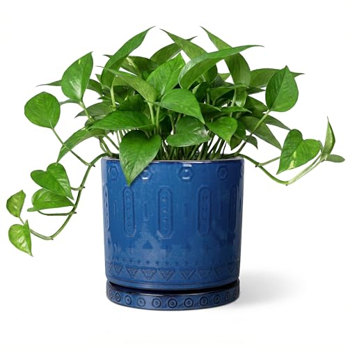 Eightpot Ceramic Planter, 6 Inch Plant Pot with Drainage Hole and Tray, Round Flower Pots for Indoor Outdoor Plants, Boho Decorative Pots for Plants, Bookshelf Decor, House Warming Gift, Blue - color: Blue - 2, size: 6 Inch