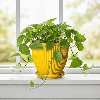 6 Inch Plant Pot, Ceramic Planter with Drainage Hole and Saucer, Decorative Small Plant Pots for Indoor Plants, Modern Round Flower Pot, Home Office Room Decor, House Warming Gifts, Yellow - size: 6 Inch, style: Yellow