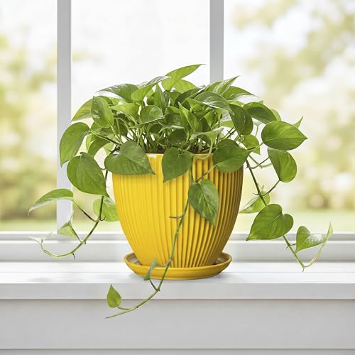 6 Inch Plant Pot, Ceramic Planter with Drainage Hole and Saucer, Decorative Small Plant Pots for Indoor Plants, Modern Round Flower Pot, Home Office Room Decor, House Warming Gifts, Yellow - size: 6 Inch, style: Yellow