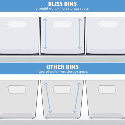STORi Bliss 10" x 6" Open Clear Pantry Organizer Bin, Set of 2, Plastic Containers with Handle for Kitchen, Fridge, Cabinet, Closet, Bathrom, Undersink Storage Made in USA - style: Set of 2