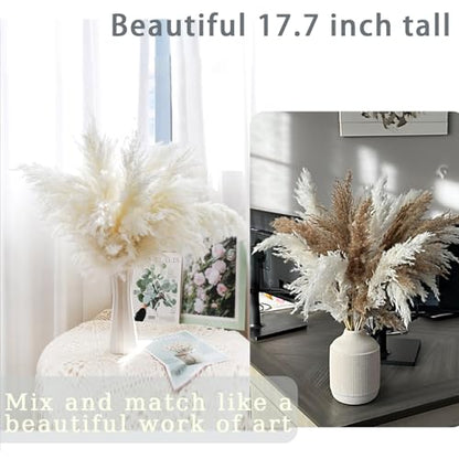 30 Stems White Pampas Grass Fluffy, Boho Home & Party Decor, Natural Pompas Grass for Living Room & Table Decor, Gift (17.7 inch, 30 White ) - size: 30white - 17 Inch