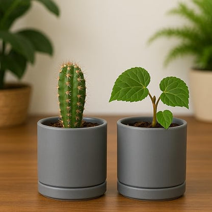 D'vine Dev 2-Pack Ceramic Pots with Saucers, Grey, 3.5 in, 94-V-A-3 | Modern Cylinder Design, Glazed Ceramic, Drainage Hole & Saucer Included, High Temperature Fired, Elegant Home Accent - color: Gray, size: 3.5 Inch