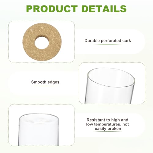 M METERXITY 1 Pack Glass Planter Terrarium with Wooden Cover, Desktop Plant Propagation Station Clear Vase for Hydroponic Plants Propagation/Home Garden Decor/Plant Lover [2.56'' x 3.15''] - size: 2.56'' x 3.15''