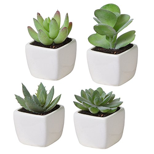 MyGift Set of 4 Faux Succulents in Mini White Square Ceramic Planter Pots | Set of 4 assorted artificial succulents comes in white glazed ceramic pots for realistic, maintenance-free greenery décor - color: Green