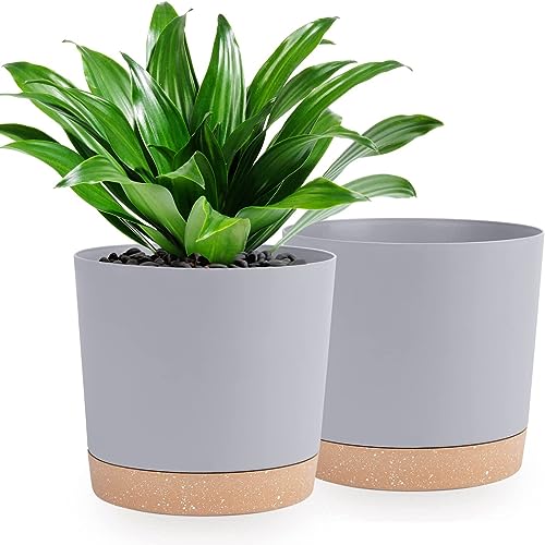 QCQHDU 10 inch Plant Pot, 2 Pack Planters for Indoor Plants with Drainage Holes & Saucer, Outdoor Flower Pots Home Garden Modern Decor - color: Light Grey, size: 10 inch