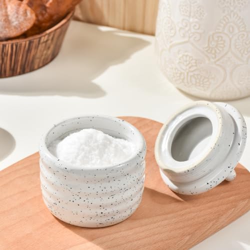 Salt Cellar Keeper with Ceramic Lid, Big Capacity Ceramic Sugar Bowls Pepper Box, Speckled Glaze Seasoning Container Condiment Pot for Kitchen (White) - color: White