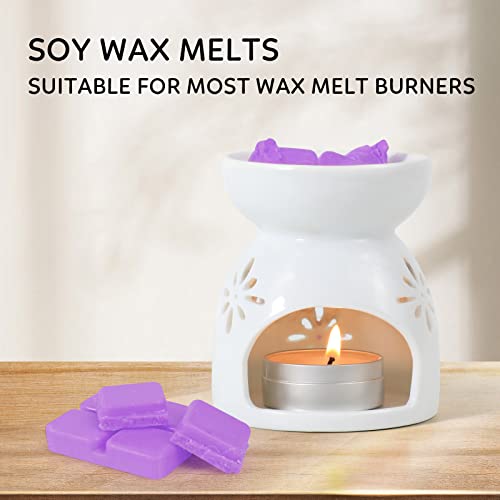 Wax Melts, Scented Melts Cubes for Wax Warmers, 4 x 2.5 oz | Summer Flower Scent Wax Melts - Rose, Lavender, Jasmine, Cherry, Home Fragrance Decor