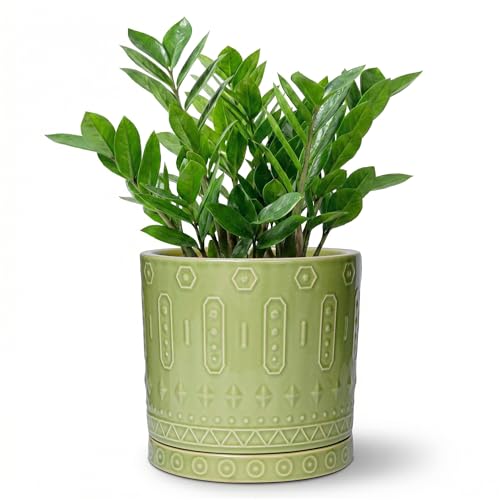 Eightpot Ceramic Pots for Plants, 8 Inch Plant Pot with Drainage Hole and Tray, Round Planters for Indoor Plants, Modern Flower Pot, Decorative Planter, Living Room Decor, Gardening Gifts, Green - color: Green - 2, size: 8 Inch