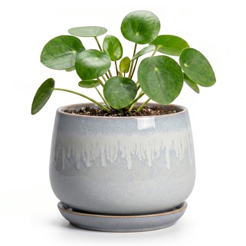 4 Inch Planter - Ceramic Plant Pots for Indoor Plants, Round Succulent Pots with Drainage and Saucer, Decorative Small Planter, Home Desktop Decor, Gardening Gifts for Women, Grey-White - size: 4 Inch, style: Grey-white