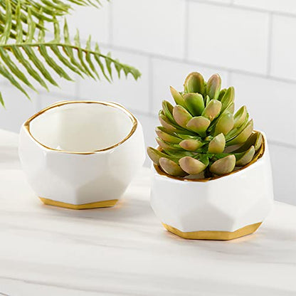 Kate Aspen Geometric Ceramic Planters, Mini Decorative Bowls (Set of 3) Small- Succulent Pots, Modern Decor, Shelf Decor, Desk, Table Décor, White - size: Small (Set of 3)