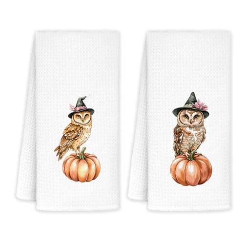 JINYO Halloween Witchy Owl Kitchen Towels, Fall Pumpkin Hand Towels for Bathroom Kitchen Decor, Cute Spooky Halloween Autumn Decorative Dish Tea Towels, 16x24 Inch Set of 2 - color: Halloween Owl Towels