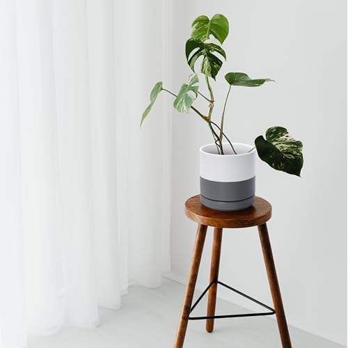 D'vine Dev 3-Pack Ceramic Pots with Saucers, 3/4/6 in, White/Grey, 94-T-S-6 | Glazed Ceramic, Drainage Hole, Perfect-Fit Saucer, Sleek Cylinder Shape, High Temperature Fired, Elegant Home Accent - color: White/Speckled Grey, size: 3"+4"+6"