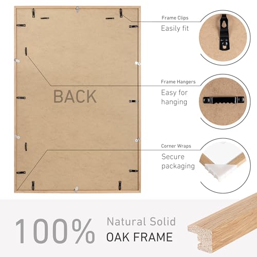 24x36 Poster Frame Set of 2 Natural Solid Oak Photo Frames with 20x30 Removable Mat Wall Hanging Large Handcrafted Frame with HD Plexiglass Wall and Tabletop Display Large Picture Frame - color: Oak, size: 24X36,2P