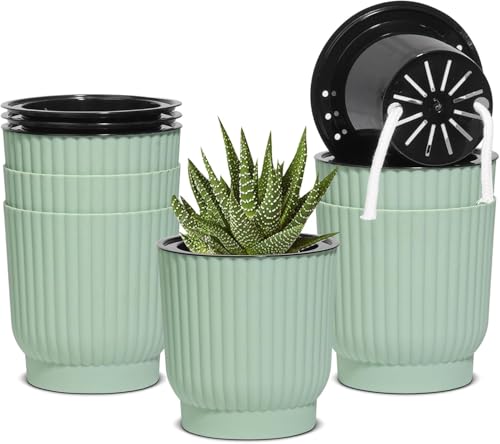 T4U Self Watering Pots for Indoor Plants, 4 Inch 6 Pack Planter Green | African violet succulent herbs, Small desk windowsill, Bottom feed reservoir, Easy care maintenance - color: Seafoam Green, size: 4 Inch