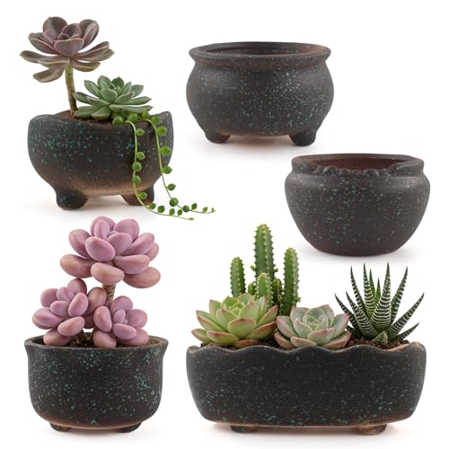 Retro Ceramic Succulent Garden Pots Small Plant Planter Container with Drainage Set of 5 for Home Office Decor - color: A 5-piece Set