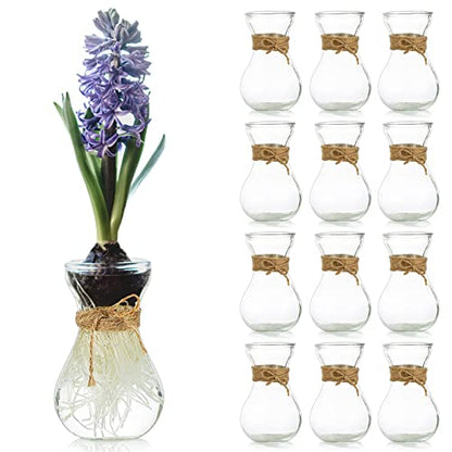 Small Glass Vases for Centerpieces - Hewory 12pcs Clear Mini Hyacinth Avocado Growing Bud Vase Bulk, Cute Tiny Flower Bulb Forcing Plant Containers Set for Wedding Home Living Room Table Decorations