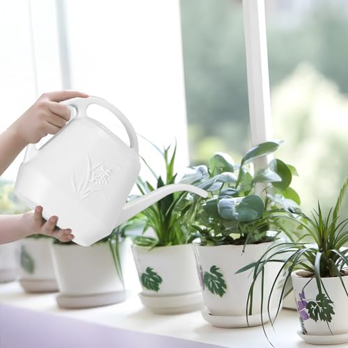 Plant Watering Can - 1/2 Gallon - White | With Long Spout for Watering-Home Indoor and Outdoor Garden - color: White