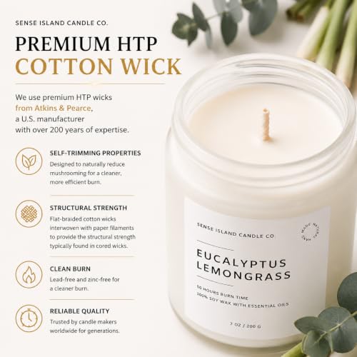 Eucalyptus Lemongrass Scented Candle with Citronella Essential Oil | Contains 6 Essential Oils | 50+ Hrs Long Lasting | Non-Toxic Soy Candle - color: Eucalyptus Lemongrass