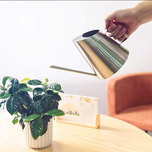 IMEEA Stainless Steel Indoor Watering Can with Long Spout Modern Watering Can for Small Indoor Plants, 50oz / 1.5L Maximum Capacity