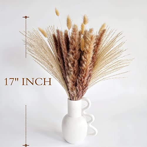 Natural Dried Pampas Grass Decor, Brown Pampas Grass， Bunny Tails Dried Flowers, Reed Grass Bouquet for Wedding Boho Flowers Home Table Decor, Fall Decor，Rustic Farmhouse Party (100 in Total ) - size: 100CPS-Brown