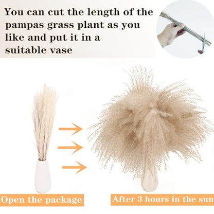 Dried Pampas Grass Decor, 120 PCS Pampas Grass with Bunny Tails Dried Flowers, Reed Grass Bouquet for Wedding, Boho Flowers, Home Table Decor, Rustic Farmhouse Party (White and Brown) - size: 120PCS