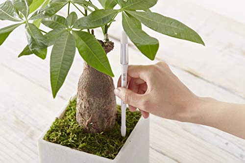 IPPINKA Sustee Aquameter (White, Large, Refillable) - Plant Soil Moisture Sensor - Best for Potted Plants - Probe, Meter, Indicator