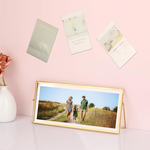 Double-Glass Dried Flower Frame, Brass Floating Frames for Pictures, Pressed Flowers, Leaves, Arts, Stamps, 4x 9 inches Decorative Tabletop Display Holder for Home Plant Specimen (FRAME ONLY)