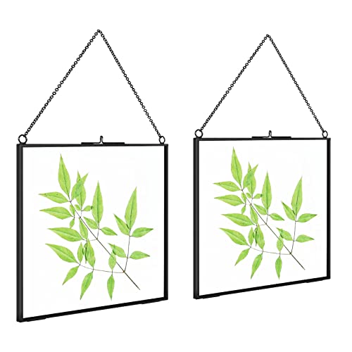 TLBTEK 2 PCS Black 8x8 inch Brass Hanging Photo Frame,Double Glass Frame for Pressed Flowers,Clear DIY Vintage Artwork Display Frame Wall Mounted Photos Frame - color: 2 pcs 8 x 8 Inch-Black