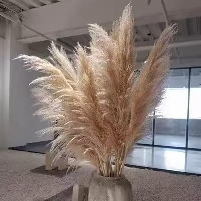 43.3 Inch Natural Pampas Grass Bouquet, 23.6 Inch Large Fluffy Plumes, Zero Maintenance Boho Farmhouse Decor for Floor Vase, Wedding Party Home Decoration, 10 Stems